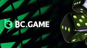 Exploring the Thrills of Casino BC.Game India